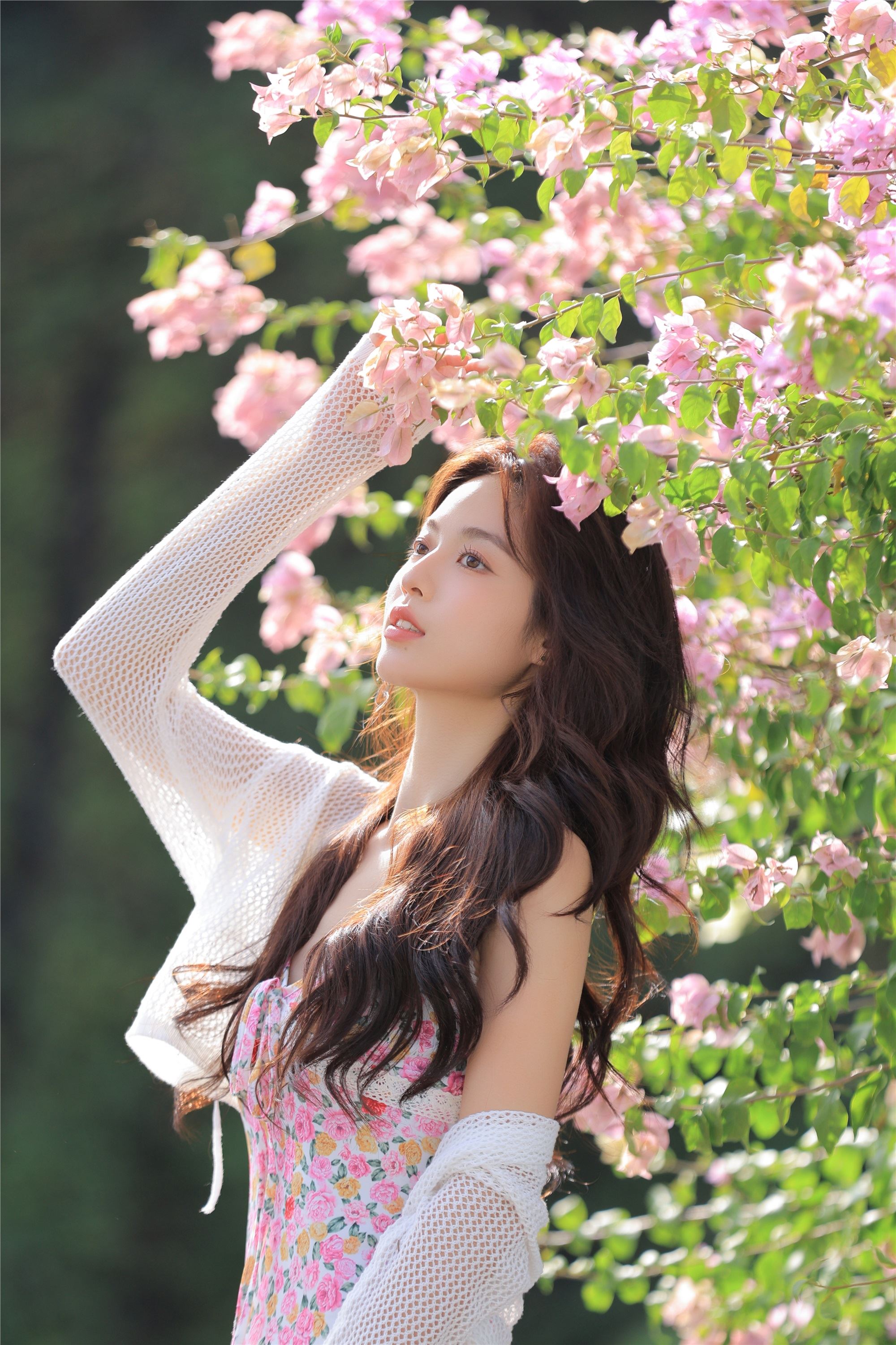 YITUYU艺图语 2025.01.29 春天来了又来 林士真